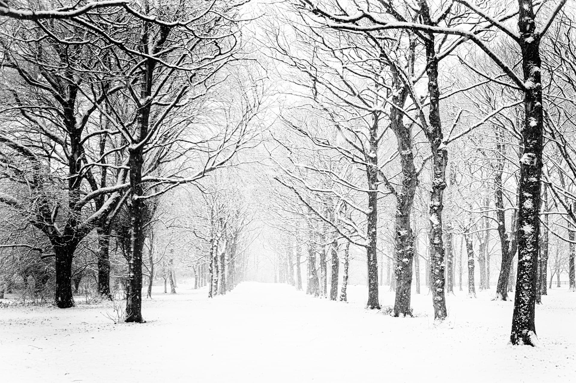 Heavy snow falling on a New England street during a nor'easter